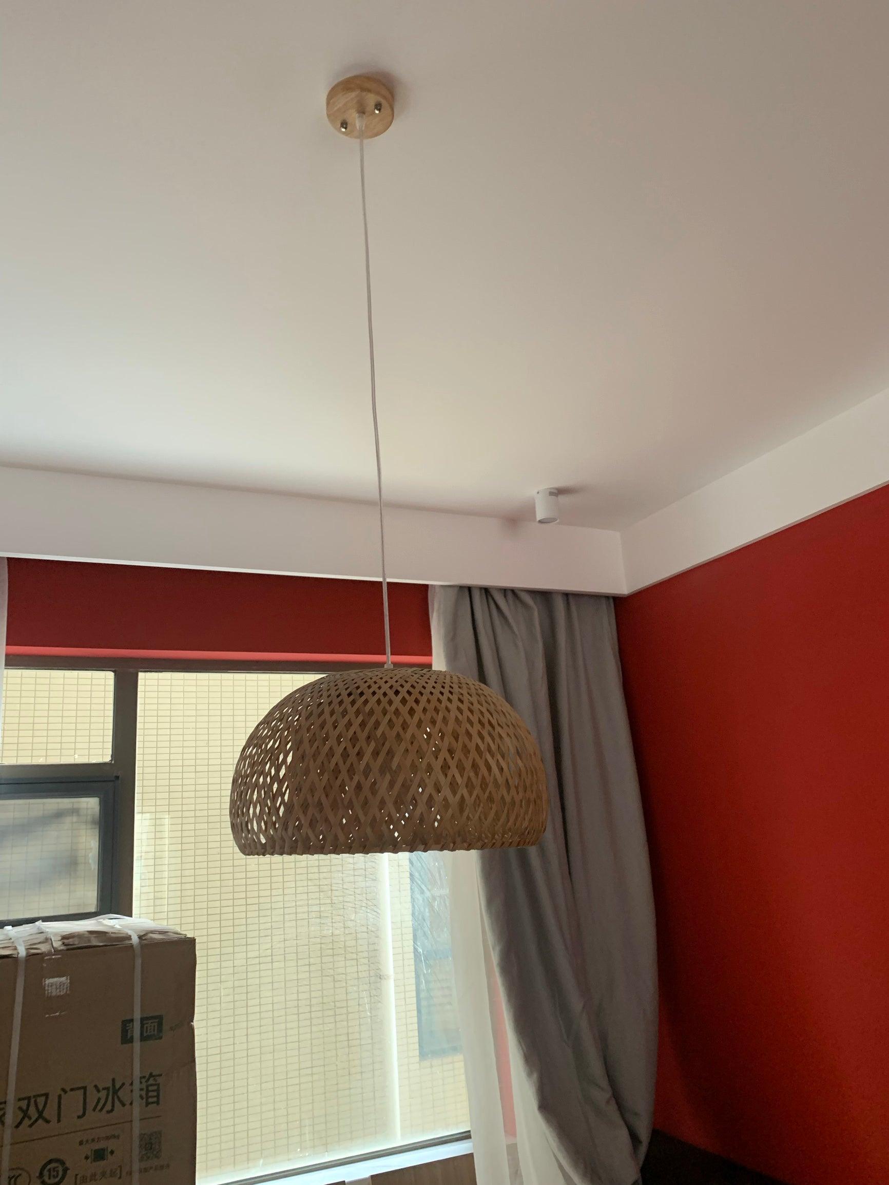 Bamboo_braided_lamp_19.jpg