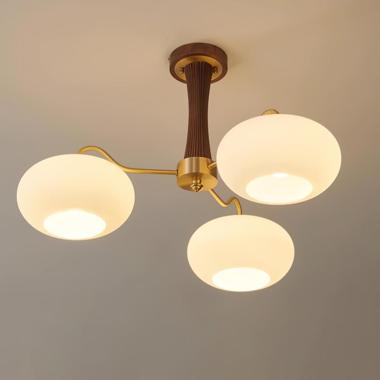 Brass_Wooden_Persimmon_Chandelier__16.jpg