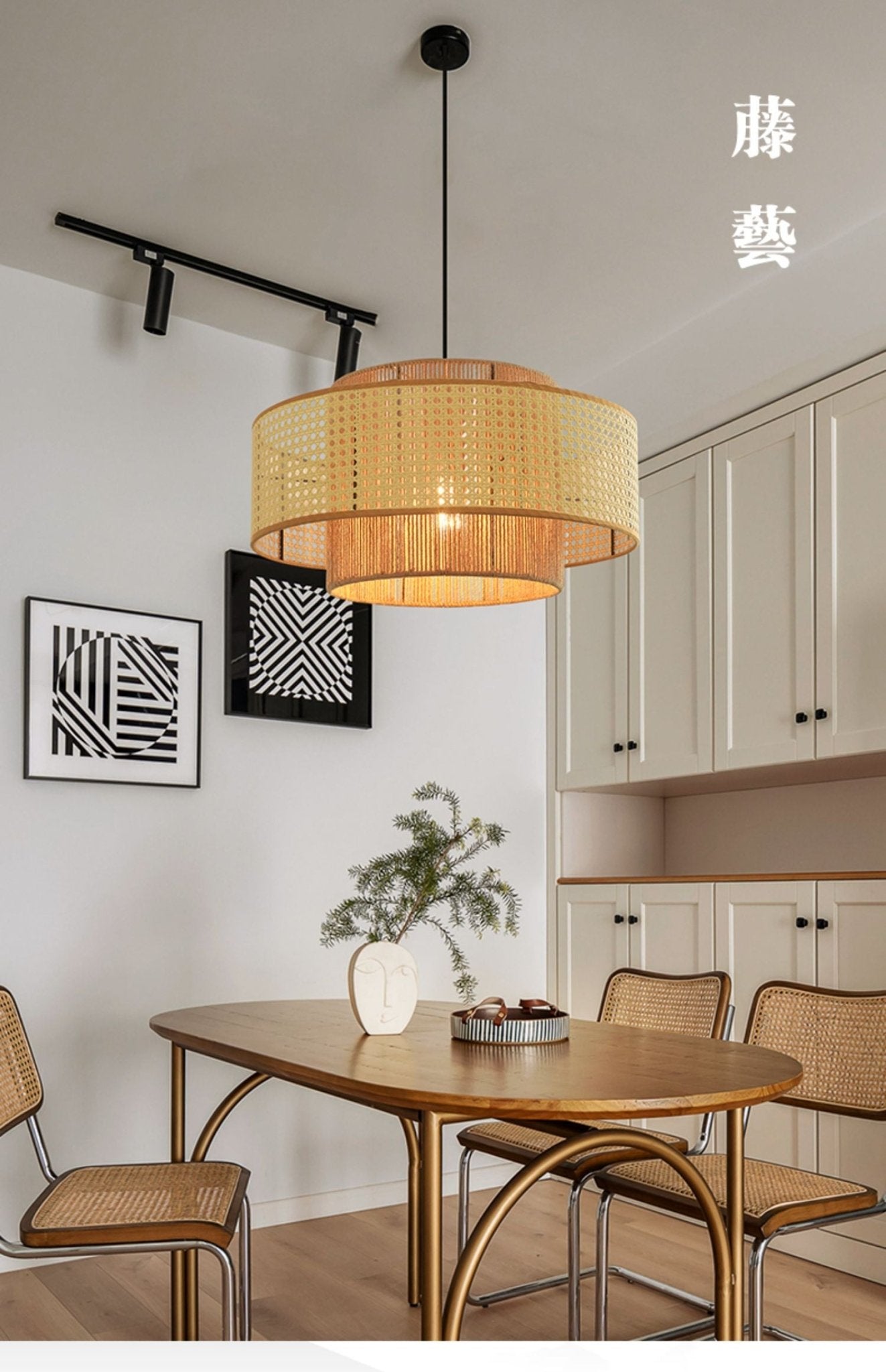ConcentricPendantLight_2-578408.jpg