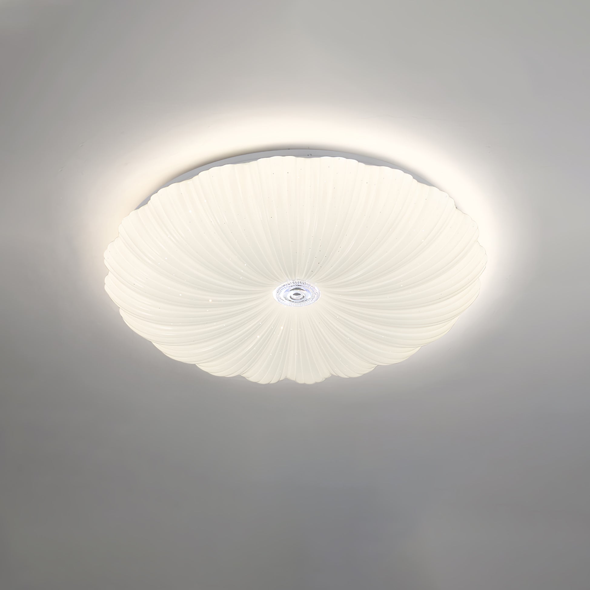 Shell_Acrylic_Round_Ceiling_Lamp__3.jpg